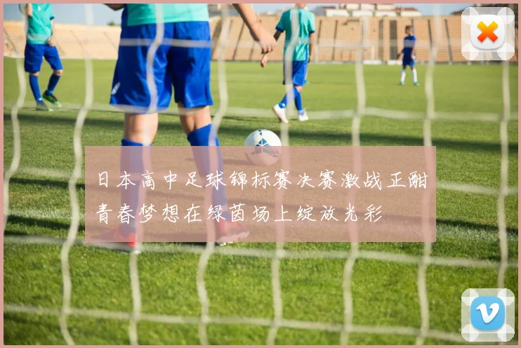 日本高中足球锦标赛决赛激战正酣青春梦想在绿茵场上绽放光彩